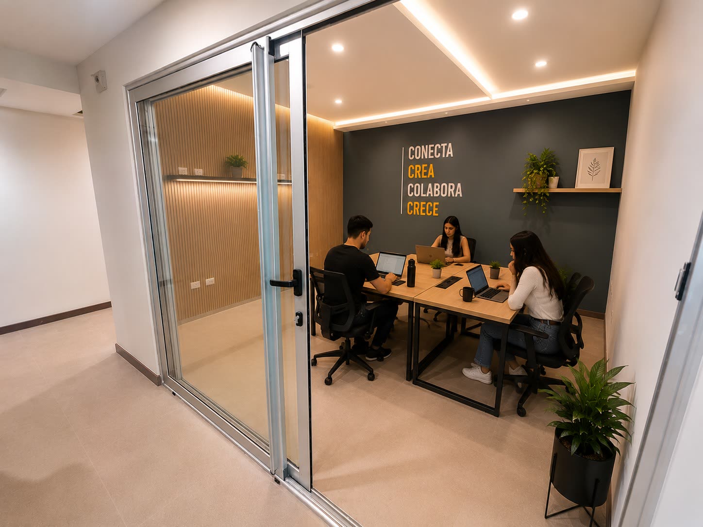 Sala de reuniones y coworking